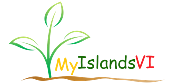 My Islands VI logo